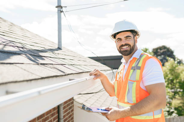 Best Roof Gutter Cleaning  in Bellevue, MI