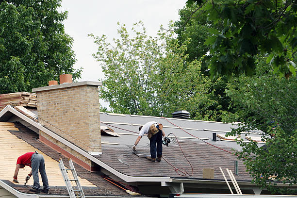 Best Roof Restoration Services  in Bellevue, MI