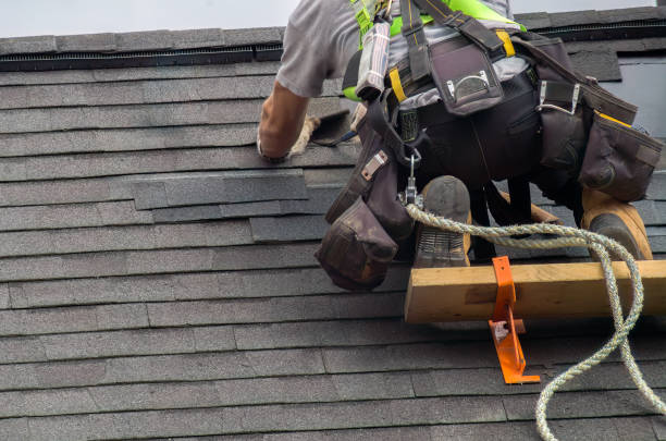Best Roof Restoration Services  in Bellevue, MI