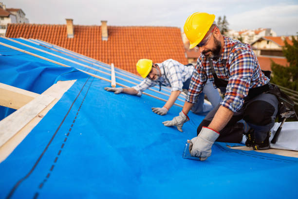 Best New Roof Installation  in Bellevue, MI